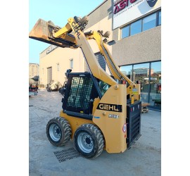 Minipala gommata GHEL R165