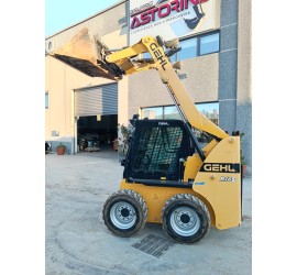 Minipala gommata GHEL R165