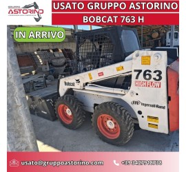 Minipala Bobcat 763H